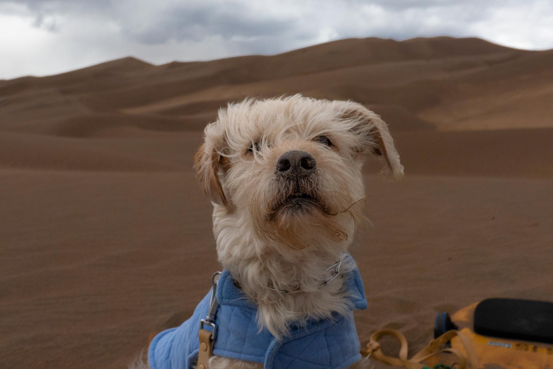Bengie taking in the view